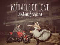 บรรยากาศเบื้องหลัง ถ่ายพรีเวดดิ้ง - Miracle of love wedding sriracha