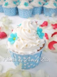 Package Cupcake - Lovely Bits & Bake House