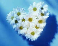  , ความลับเกี่ยวกับความรัก