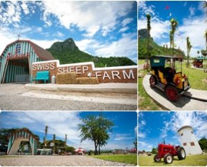  , สถานที่ถ่ายภาพแต่งงาน Swiss Sheep Farm
