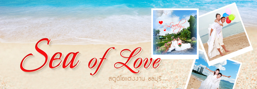 SEA OF LOVE Wedding Studio  ʵٴ����觧ҹ �ź��� , ʵٴ��Ͷ����Ҿ �觧ҹ , ���� Pre Wedding , ᾤ�稶����Ҿ Pre Wedding  , ��ҧ�Ҿ����Ҫվ �ź���