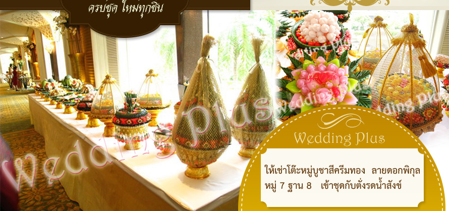 Wedding Plus : บริการ  แม่งาน : ผู้ดำเนินงานในพิธีเช้า บริการจัดพานขันหมาก งานคุณภาพ  ฝีมือประณีตระดับชาววัง , บริการให้เช่า  ตั่งรดน้ำสังข์  พร้อมอุปกรณ์รดน้ำสังข์ครบชุด