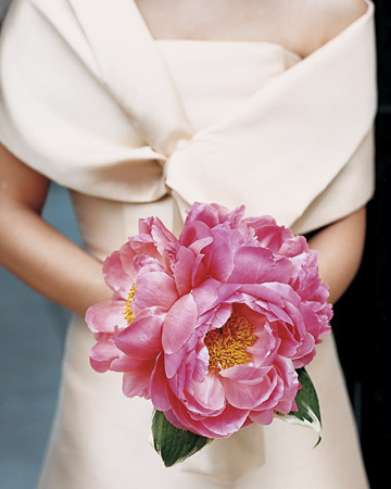 ช่อดอกไม้สีชมพูหวานแหวว
