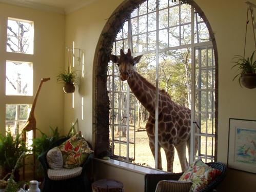 โรงแรมสุดแปลกไอเดียเจ๋ง ต้อนรับเดือนสีชมพู The Giraffe Manor