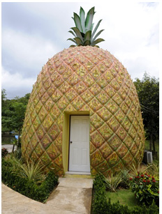 บ้านสับปะรด