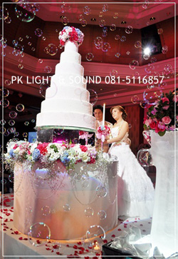 ตัดเค้กในงานเลี้ยงแต่งงาน , แสง สี เีสียง 