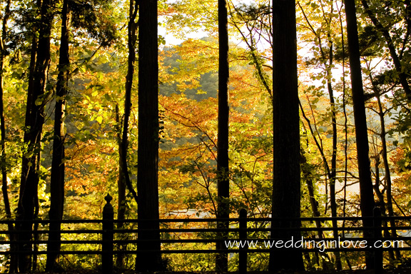 Honeymoon and Travel - Nikko 06
