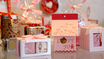 Modern Wedding Studio ����