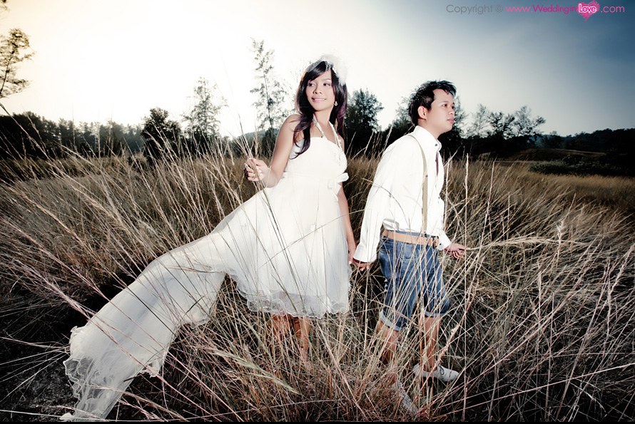 Modern Wedding Studio  - Wedding Studio ��紴��ʵٴ��� ʵٴ����觧ҹ ���� ,�觧ҹ ���� , ��ҧ�����ٻ ���� , ���� Pre Wedding , ��ҧ�Ҿ����Ҫվ ,wedding studio ���� , Phuket Wedding  , ��ҧ�Ҿ ���� , �����Ҿ ���� , ʵٴ��� ����