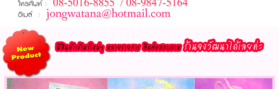 ���Ѳ�Ңͧ������ ������� ,�ͧ�����§ҹ�觧ҹ ,�ͧ�������� ,�ͧ�����¹���ѡ ,�ͧ���������