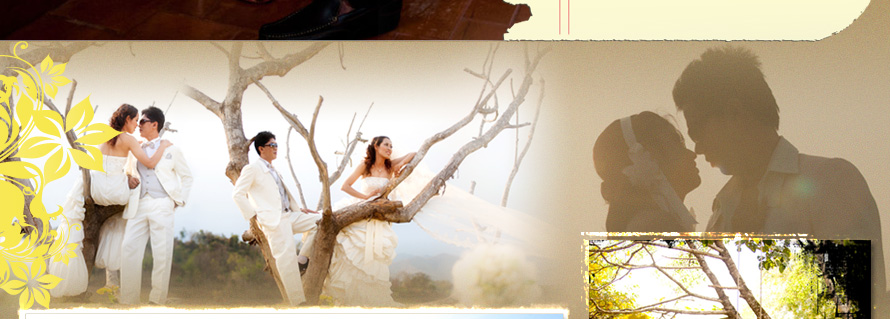 tanawanwedding studio  ʵٴ����觧ҹ �Ҫ����   ʵٴ����Ҫ����  ��ҧ�Ҿ�觧ҹ �����ٻ�觧ҹ �Ҫ���� Wedding Studio �Ҫ����  Studio �Ҫ����  ����Ǵ��� �ǹ��� ����Ǵ��� �Ҫغ��