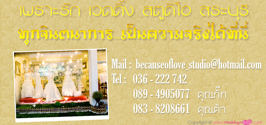�����ѡ �Ǵ��� ʵٴ��� ��к���  ʵٴ����觧ҹ , �����ٻ �觧ҹ , �����Ҿ �觧ҹ , �ش�觧ҹ , �ͧ�������觧ҹ ,�����觧ҹ , �觧ҹ �úǧ�� , �觧ҹ ��к���, ��к��� �Ǵ��� ʵٴ��� ��к��� Wedding Studio ��к��� ʵٴ��� ��к��� �����Ҫش�觧ҹ ��к��� �ش�� ��к��� �ش�觧ҹ ��к��� ���¾�� �Ǵ��� �Ǵ���ʵٴ��� ��к��� �Ѵ�͡����觧ҹ ��˹�� �Ӽ� ������ �Ѵ�ش�觧ҹ �͡Ẻ �ش�� �����Ҫش�� ��к���