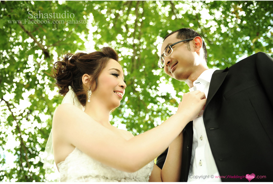 Saha Studio �Ҫ���� : ʵٴ����觧ҹ �Ҫ���� , �Ǵ��� ʵٴ��� �Ҫ���� ,�觧ҹ�Ҫ���� ,���¾���Ǵ���  ,ᾤ���觧ҹ ,ᾤࡨ�����Ҿ����Ǵ��� ,��˹�� �Ӽ� ������ ,�����Ҫش�觧ҹ ,�ش�� �ش������ ,�Ǵ��� ʵٴ��� �Ҫ���� ,Wedding Studio �Ҫ���� ,Studio �Ҫ����