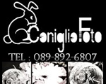 Coniglio Foto