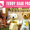 TEDDY BEAR PROP