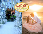 ����ǵ�� �͹�� & wedding