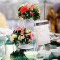 ���§��� ������ ��ا෾ (Shanghai Mansion Bangkok) �����ʺ���ҡ�� �ç��������� ������ �����Ẻ�� �Ẻ�ù����Ծ �����ҹ���¡�õ������� ������Ż�����չ �ѹ�ԨԵ� ��С�õ� ���������ӹ�¤����дǡ�ѹ���¤ú��ѹ ���������ԡ�÷�ҹ �͡�ҡ��� ����ѧ�վ�ѡ�ҹ ���������ԡ�÷�ҹ ���¡�ú�ԡ���ҵðҹ�ҡ�SHANGHAI MANSION BANGKOK