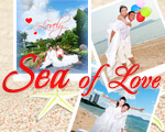 SEA OF LOVE Wedding Studio �ѵ�պ