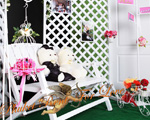 Phuket Rent For Love
