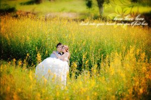 Memory Studio - ��ź��� Pre Wedding ��ֳ� �س�͡