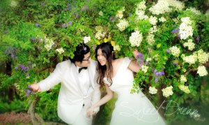 Memory Studio - Pre Wedding �س��� & �س�ͫ�