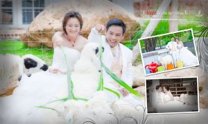 Boscowedding - ������§�� ��� Scenery Resort