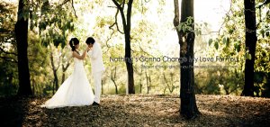 modish theweddingstudio - �����ٻ prewedding �ǹö�