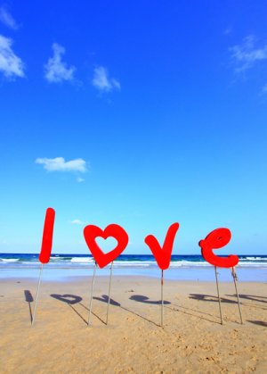 ���¤�� - ��ҡ��Һ�ҤҤ��