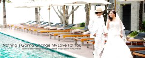 modish theweddingstudio - ������蹵�͹�Ѻ����͹Ŵ5 0% 