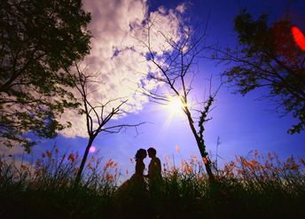 LCD Wedding Album 