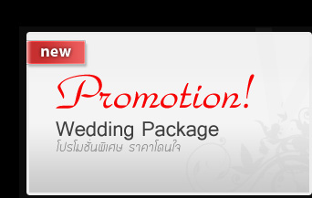 Package ��������ش���� , ᾤࡨ���¾���Ǵ��� �ҤҾ���� , �������Ҿ������