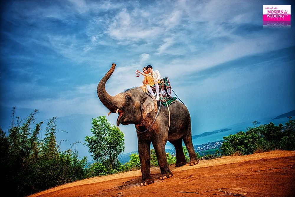 แพ็คเกจถ่ายพรีเวดดิ้ง บนหลังช้าง , พรีเวดดิ้ง กับช้างไทย , Phuket Wedding Studio, เวดดิ้ง ภูเก็ต , สตูดิโอแต่งงานภูเก็ต , โปรโมชั่นถ่ายภาพรีเวดดิ้ง