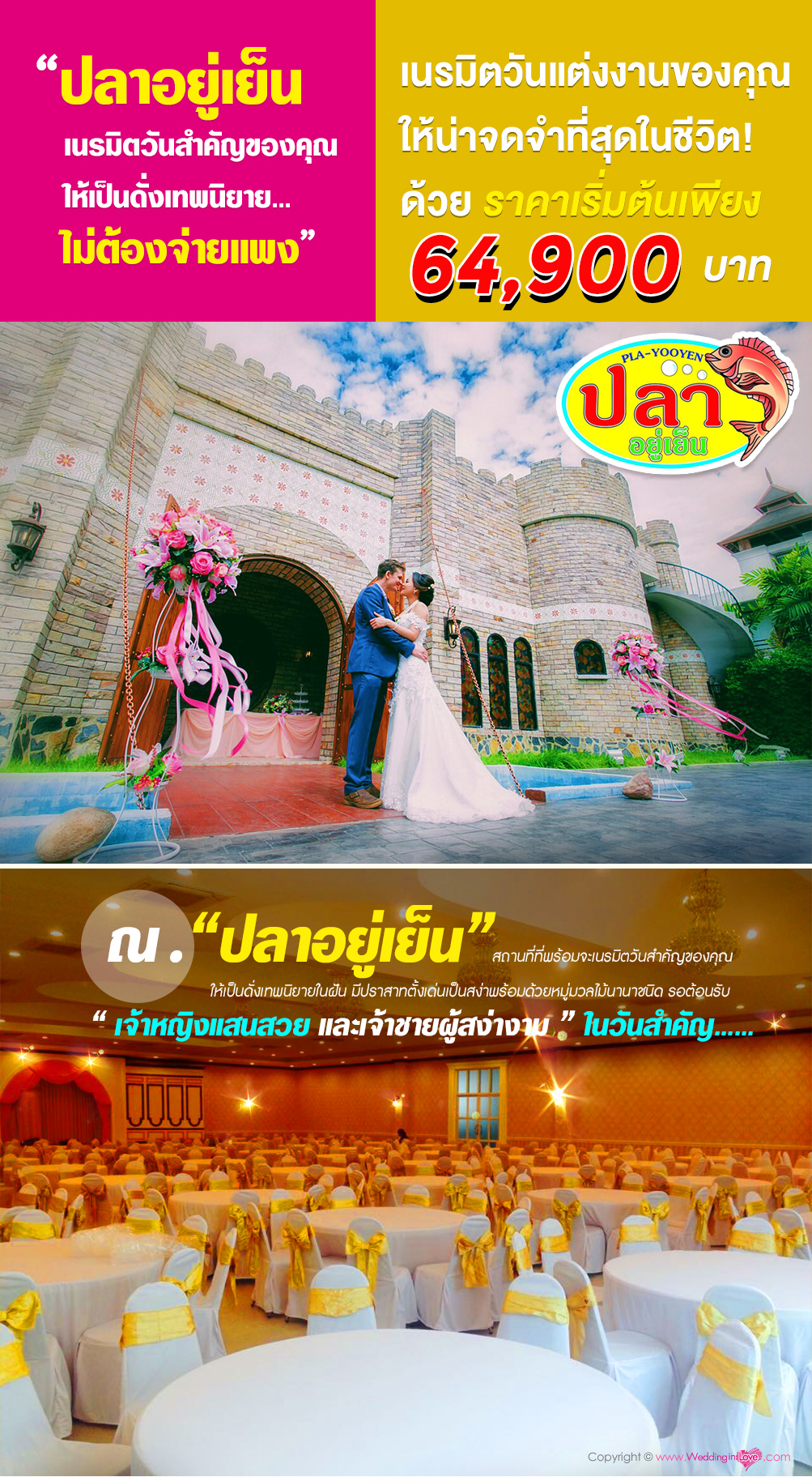 สถานที่จัดเลี้ยงแต่งงาน , ร้านอาหารจัดเลี้ยงแต่งงาน , แพ็คเกจแต่งงาน ร้านอาหารปลาอยู่เย็น , Wedding Place , รับจัดเลี้ยงแต่งงาน ร้านอาหารปลาอยู่เย็น สถานที่จัดเลี้ยงแต่งงาน , ร้านอาหารจัดเลี้ยงแต่งงาน , แพ็คเกจแต่งงาน ร้านอาหารปลาอยู่เย็น , Wedding Place , รับจัดเลี้ยงแต่งงาน ร้านอาหารปลาอยู่เย็น