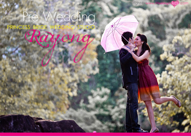 ��ź����ٻ�Ҿ ,��� ������ ,��ź����觧ҹ ,�����Ҿ����Ǵ��� Pre Wedding ,ʵٴ������ͧ ,ᾤࡨ�觧ҹ ,ᾤ�稶����ٻ�觧ҹ ,ᾤ�稶��¾���Ǵ���