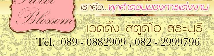 Sweet Blossom àÇ´´Ôé§ ÊµÙ´ÔâÍ ÊÃкØÃÕ ÊµÙ´ÔâÍáµè§§Ò¹ , ¶èÒÂÃÙ» áµè§§Ò¹ , ¶èÒÂÀÒ¾ áµè§§Ò¹ , ªØ´áµè§§Ò¹ , ¢Í§ªÓÃèÇÂáµè§§Ò¹ ,¡ÒÃì´áµè§§Ò¹ , áµè§§Ò¹ ¤ÃºÇ§¨Ã , áµè§§Ò¹ ÊÃкØÃÕ, ÊÃкØÃÕ àÇ´´Ôé§ ÊµÙ´ÔâÍ ÊÃкØÃÕ Wedding Studio ÊÃкØÃÕ ÊµÙ´ÔâÍ ÊÃкØÃÕ ãËéàªèҪشáµè§§Ò¹ ÊÃкØÃÕ ªØ´ä·Â ÊÃкØÃÕ ªØ´áµè§§Ò¹ ÊÃкØÃÕ ¶èÒ¾ÃÕ àÇ´´Ôé§ àÇ´´Ôé§ÊµÙ´ÔâÍ ÊÃкØÃÕ ¨Ñ´´Í¡äÁéáµè§§Ò¹ áµè§Ë¹éÒ ·Ó¼Á à¨éÒÊÒÇ µÑ´ªØ´áµè§§Ò¹ Í͡Ẻ ªØ´ä·Â ãËéàªèҪشä·Â ÊÃкØÃÕ Sweet Blossom àÇ´´Ôé§ ÊµÙ´ÔâÍ ÊÃкØÃÕ ÊµÙ´ÔâÍáµè§§Ò¹ , ¶èÒÂÃÙ» áµè§§Ò¹ , ¶èÒÂÀÒ¾ áµè§§Ò¹ , ªØ´áµè§§Ò¹ , ¢Í§ªÓÃèÇÂáµè§§Ò¹ ,¡ÒÃì´áµè§§Ò¹ , áµè§§Ò¹ ¤ÃºÇ§¨Ã , áµè§§Ò¹ ÊÃкØÃÕ, ÊÃкØÃÕ àÇ´´Ôé§ ÊµÙ´ÔâÍ ÊÃкØÃÕ Wedding Studio ÊÃкØÃÕ ÊµÙ´ÔâÍ ÊÃкØÃÕ ãËéàªèҪشáµè§§Ò¹ ÊÃкØÃÕ ªØ´ä·Â ÊÃкØÃÕ ªØ´áµè§§Ò¹ ÊÃкØÃÕ ¶èÒ¾ÃÕ àÇ´´Ôé§ àÇ´´Ôé§ÊµÙ´ÔâÍ ÊÃкØÃÕ ¨Ñ´´Í¡äÁéáµè§§Ò¹ áµè§Ë¹éÒ ·Ó¼Á à¨éÒÊÒÇ µÑ´ªØ´áµè§§Ò¹ Í͡Ẻ ªØ´ä·Â ãËéàªèҪشä·Â ÊÃкØÃÕ