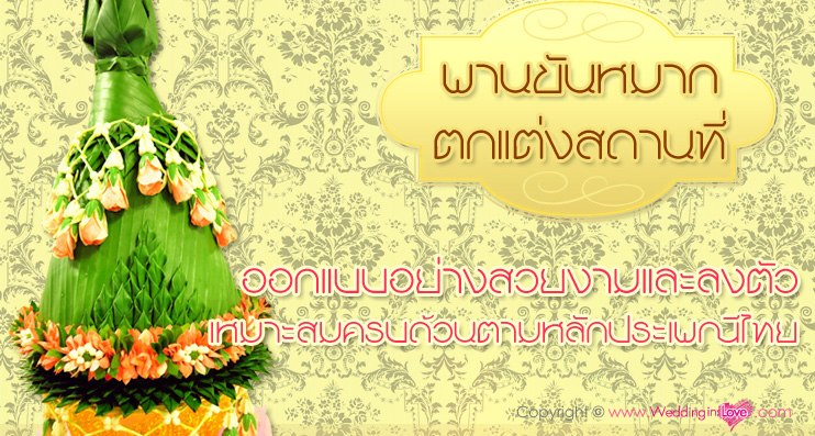 Sweet Blossom àÇ´´Ôé§ ÊµÙ´ÔâÍ ÊÃкØÃÕ ÊµÙ´ÔâÍáµè§§Ò¹ , ¶èÒÂÃÙ» áµè§§Ò¹ , ¶èÒÂÀÒ¾ áµè§§Ò¹ , ªØ´áµè§§Ò¹ , ¢Í§ªÓÃèÇÂáµè§§Ò¹ ,¡ÒÃì´áµè§§Ò¹ , áµè§§Ò¹ ¤ÃºÇ§¨Ã , áµè§§Ò¹ ÊÃкØÃÕ, ÊÃкØÃÕ àÇ´´Ôé§ ÊµÙ´ÔâÍ ÊÃкØÃÕ Wedding Studio ÊÃкØÃÕ ÊµÙ´ÔâÍ ÊÃкØÃÕ ãËéàªèҪشáµè§§Ò¹ ÊÃкØÃÕ ªØ´ä·Â ÊÃкØÃÕ ªØ´áµè§§Ò¹ ÊÃкØÃÕ ¶èÒ¾ÃÕ àÇ´´Ôé§ àÇ´´Ôé§ÊµÙ´ÔâÍ ÊÃкØÃÕ ¨Ñ´´Í¡äÁéáµè§§Ò¹ áµè§Ë¹éÒ ·Ó¼Á à¨éÒÊÒÇ µÑ´ªØ´áµè§§Ò¹ Í͡Ẻ ªØ´ä·Â ãËéàªèҪشä·Â ÊÃкØÃÕ Sweet Blossom àÇ´´Ôé§ ÊµÙ´ÔâÍ ÊÃкØÃÕ ÊµÙ´ÔâÍáµè§§Ò¹ , ¶èÒÂÃÙ» áµè§§Ò¹ , ¶èÒÂÀÒ¾ áµè§§Ò¹ , ªØ´áµè§§Ò¹ , ¢Í§ªÓÃèÇÂáµè§§Ò¹ ,¡ÒÃì´áµè§§Ò¹ , áµè§§Ò¹ ¤ÃºÇ§¨Ã , áµè§§Ò¹ ÊÃкØÃÕ, ÊÃкØÃÕ àÇ´´Ôé§ ÊµÙ´ÔâÍ ÊÃкØÃÕ Wedding Studio ÊÃкØÃÕ ÊµÙ´ÔâÍ ÊÃкØÃÕ ãËéàªèҪشáµè§§Ò¹ ÊÃкØÃÕ ªØ´ä·Â ÊÃкØÃÕ ªØ´áµè§§Ò¹ ÊÃкØÃÕ ¶èÒ¾ÃÕ àÇ´´Ôé§ àÇ´´Ôé§ÊµÙ´ÔâÍ ÊÃкØÃÕ ¨Ñ´´Í¡äÁéáµè§§Ò¹ áµè§Ë¹éÒ ·Ó¼Á à¨éÒÊÒÇ µÑ´ªØ´áµè§§Ò¹ Í͡Ẻ ªØ´ä·Â ãËéàªèҪشä·Â ÊÃкØÃÕ