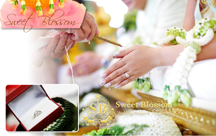 Sweet Blossom àÇ´´Ôé§ ÊµÙ´ÔâÍ ÊÃкØÃÕ ÊµÙ´ÔâÍáµè§§Ò¹ , ¶èÒÂÃÙ» áµè§§Ò¹ , ¶èÒÂÀÒ¾ áµè§§Ò¹ , ªØ´áµè§§Ò¹ , ¢Í§ªÓÃèÇÂáµè§§Ò¹ ,¡ÒÃì´áµè§§Ò¹ , áµè§§Ò¹ ¤ÃºÇ§¨Ã , áµè§§Ò¹ ÊÃкØÃÕ, ÊÃкØÃÕ àÇ´´Ôé§ ÊµÙ´ÔâÍ ÊÃкØÃÕ Wedding Studio ÊÃкØÃÕ ÊµÙ´ÔâÍ ÊÃкØÃÕ ãËéàªèҪشáµè§§Ò¹ ÊÃкØÃÕ ªØ´ä·Â ÊÃкØÃÕ ªØ´áµè§§Ò¹ ÊÃкØÃÕ ¶èÒ¾ÃÕ àÇ´´Ôé§ àÇ´´Ôé§ÊµÙ´ÔâÍ ÊÃкØÃÕ ¨Ñ´´Í¡äÁéáµè§§Ò¹ áµè§Ë¹éÒ ·Ó¼Á à¨éÒÊÒÇ µÑ´ªØ´áµè§§Ò¹ Í͡Ẻ ªØ´ä·Â ãËéàªèҪشä·Â ÊÃкØÃÕ Sweet Blossom àÇ´´Ôé§ ÊµÙ´ÔâÍ ÊÃкØÃÕ ÊµÙ´ÔâÍáµè§§Ò¹ , ¶èÒÂÃÙ» áµè§§Ò¹ , ¶èÒÂÀÒ¾ áµè§§Ò¹ , ªØ´áµè§§Ò¹ , ¢Í§ªÓÃèÇÂáµè§§Ò¹ ,¡ÒÃì´áµè§§Ò¹ , áµè§§Ò¹ ¤ÃºÇ§¨Ã , áµè§§Ò¹ ÊÃкØÃÕ, ÊÃкØÃÕ àÇ´´Ôé§ ÊµÙ´ÔâÍ ÊÃкØÃÕ Wedding Studio ÊÃкØÃÕ ÊµÙ´ÔâÍ ÊÃкØÃÕ ãËéàªèҪشáµè§§Ò¹ ÊÃкØÃÕ ªØ´ä·Â ÊÃкØÃÕ ªØ´áµè§§Ò¹ ÊÃкØÃÕ ¶èÒ¾ÃÕ àÇ´´Ôé§ àÇ´´Ôé§ÊµÙ´ÔâÍ ÊÃкØÃÕ ¨Ñ´´Í¡äÁéáµè§§Ò¹ áµè§Ë¹éÒ ·Ó¼Á à¨éÒÊÒÇ µÑ´ªØ´áµè§§Ò¹ Í͡Ẻ ªØ´ä·Â ãËéàªèҪشä·Â ÊÃкØÃÕ