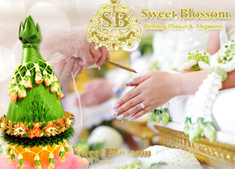 Promotion!  ᾤࡨ �ҹ�ѹ��ҡ ��������͡����ᾤࡨ