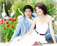 �ŧҹ ��˹�� ��� �Ҿ���� pre wedding �ͧ��ҹ Tam Wedding Studio