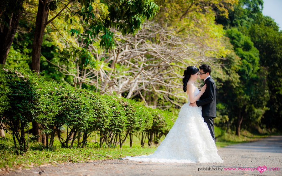 IMG_6499 copy