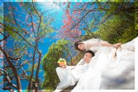 Pre Wedding :  คุณบุ๋ม & คุณโน๊ต   - The Soul Mate Wedding Studio (เดอะโซลเมท เวดดิ้ง สตูดิโอ ชลบุรี)