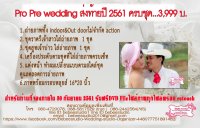 PK&Promotion - บิบี๋สตูดิโอ อำนาจเจริญ