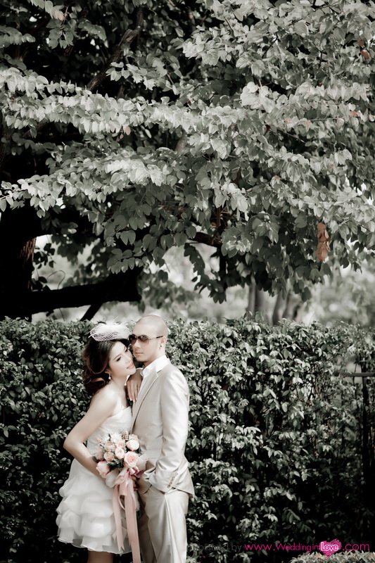 j+kung-82+r_resize