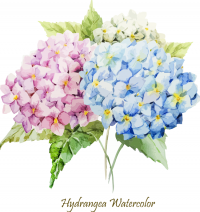 การ์ดแต่งงานแบบ Flower สีน้ำ - njweddingcard by ซิลเวอร์ แล็บ  