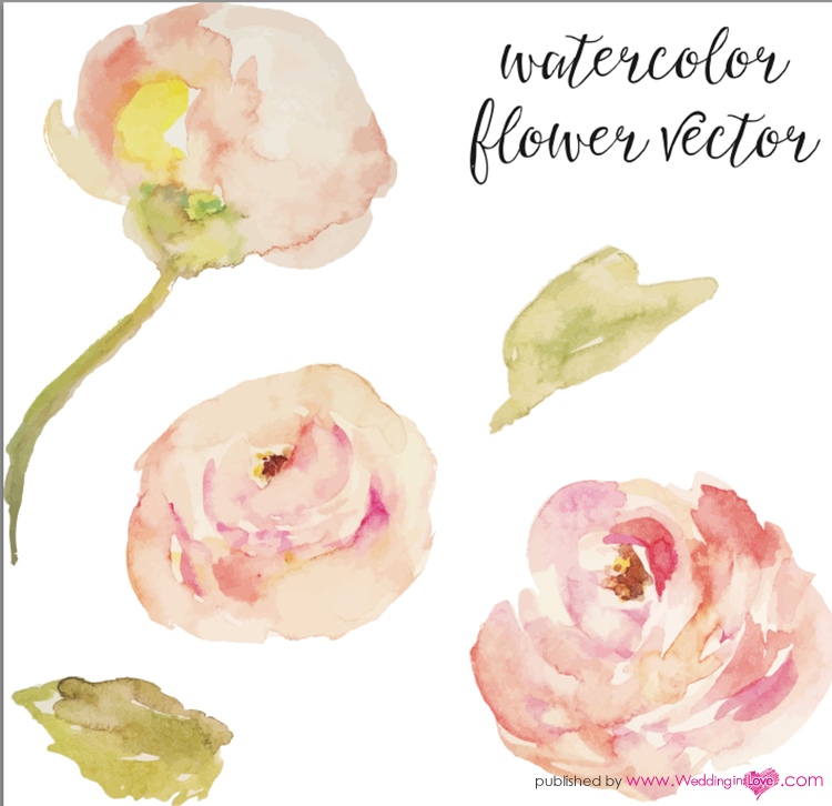 10959586_858803924155253_4228371553106410187_n