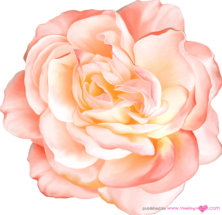 11002604_858804100821902_8771174829734309461_n