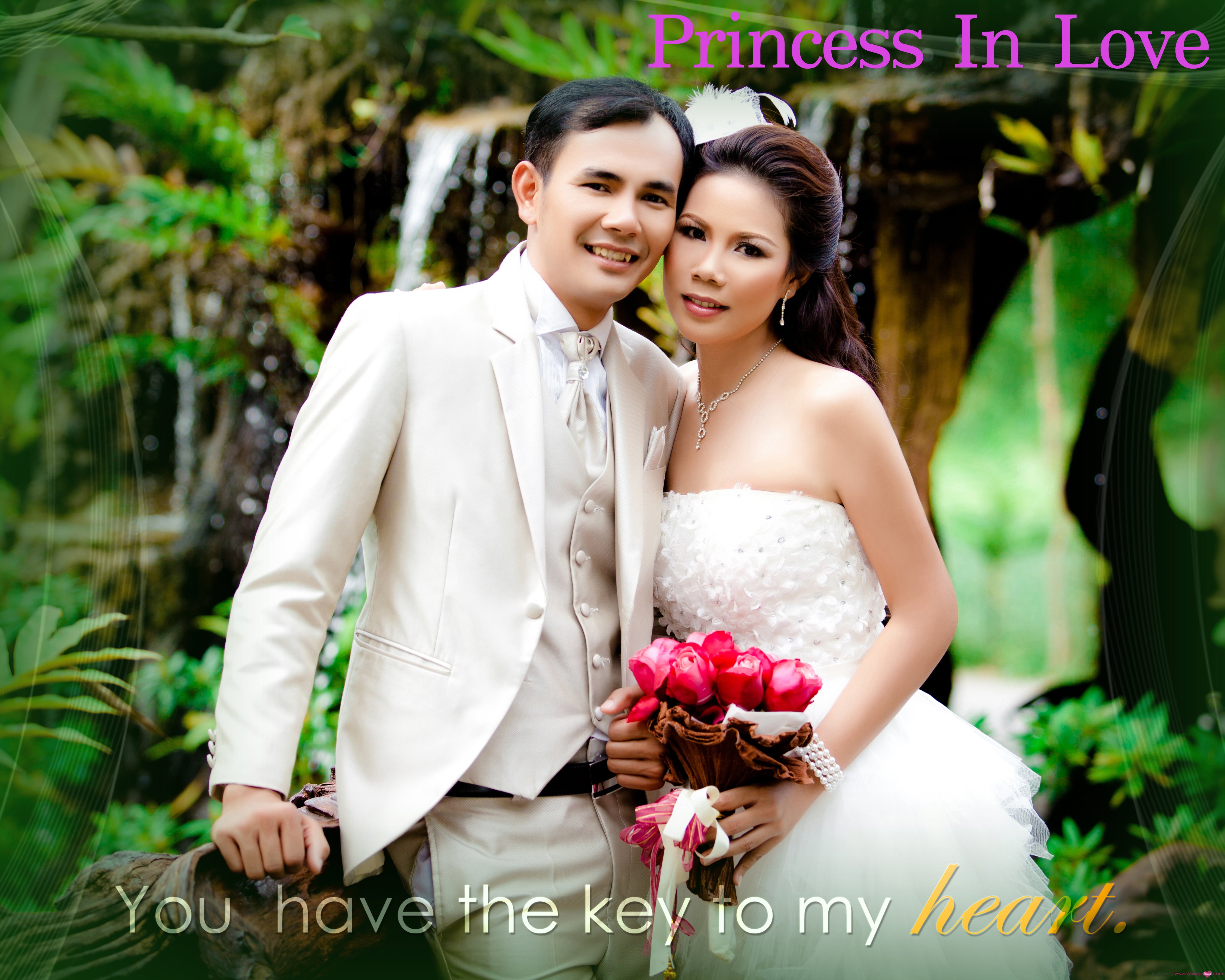 ปกหน้า copy