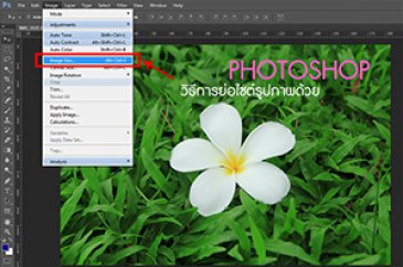 เทคนิคการย่อไฟล์รูปภาพ ทั้งโฟลเดอร์ ด้วย Photoshop Action