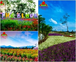 The Bloom by ทีวีพูล สถานที่ถ่ายพรีเวดดิ้ง ท่ามกลางสวนดอกไม้