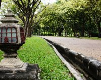 สถานที่ถ่ายรูปแต่งงาน Pre Wedding (Out Door) : สวนพุทธมณฑล